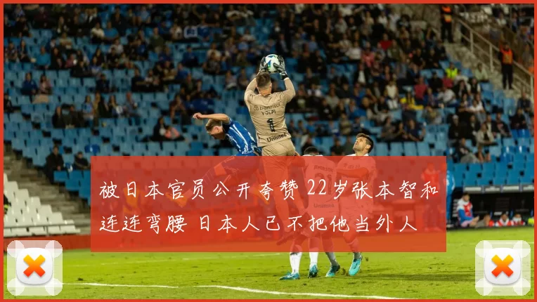 被日本官员公开夸赞 22岁张本智和连连弯腰 日本人已不把他当外人