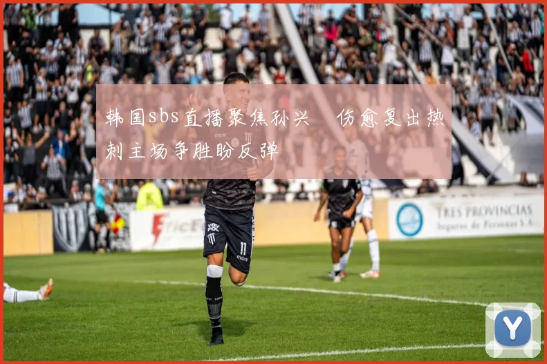 韩国sbs直播聚焦孙兴慜伤愈复出热刺主场争胜盼反弹