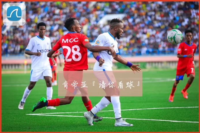 肯帝亚『请你看球』