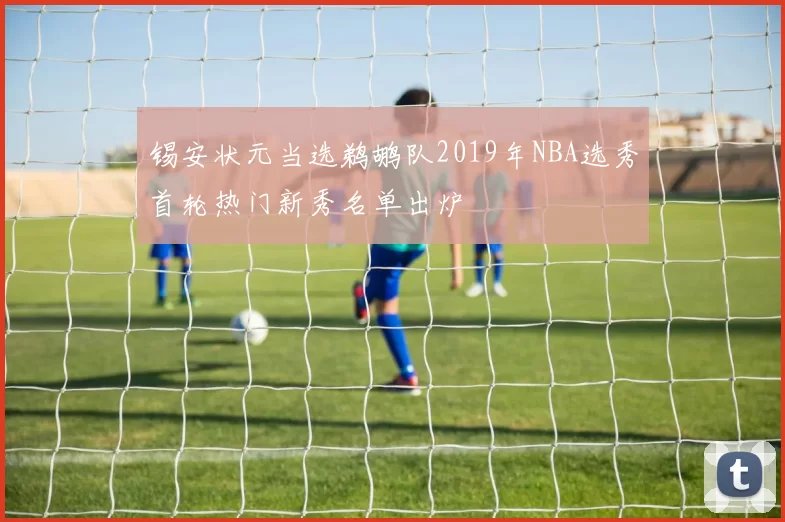 锡安状元当选鹈鹕队2019年NBA选秀首轮热门新秀名单出炉