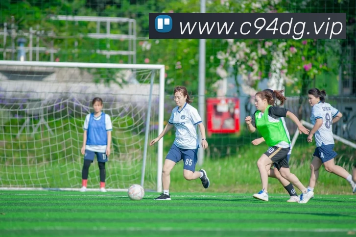 开云(中国)Kaiyun·官方网站 - 登录入口平台生态图