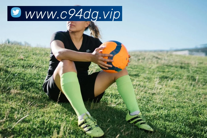 开云(中国)Kaiyun·官方网站 - 登录入口服务体系